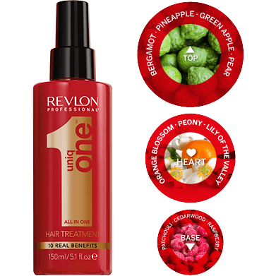 Revlon Professional All In One Hair Spray - Give Us Beauty